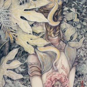 花王様　Peony Queen