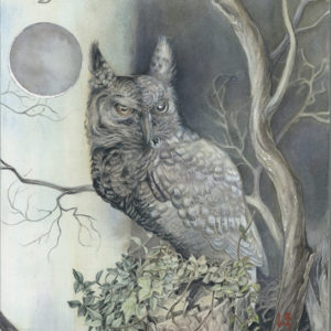 The Owls are not what They Seem